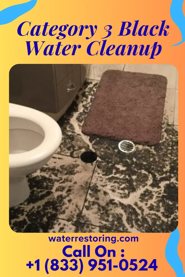 Category 3 Black Water Cleanup in Coalmont, TN