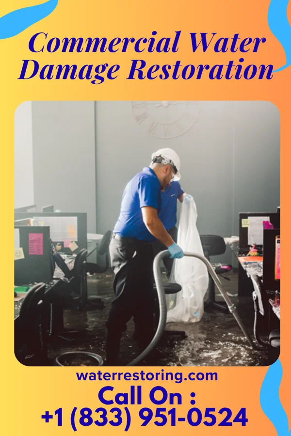 Commercial Water Damage Restoration in Coalmont, TN