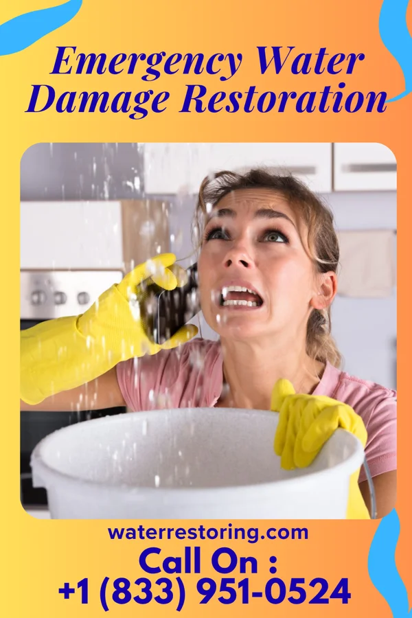 Emergency Water Damage Restoration in Coalmont, TN
