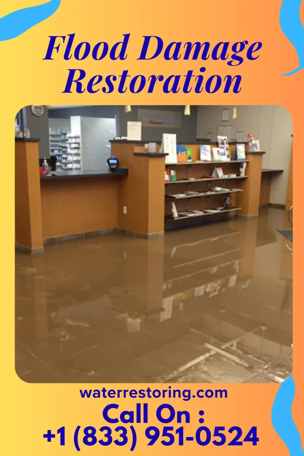 Flood Damage Restoration in Coalmont, TN