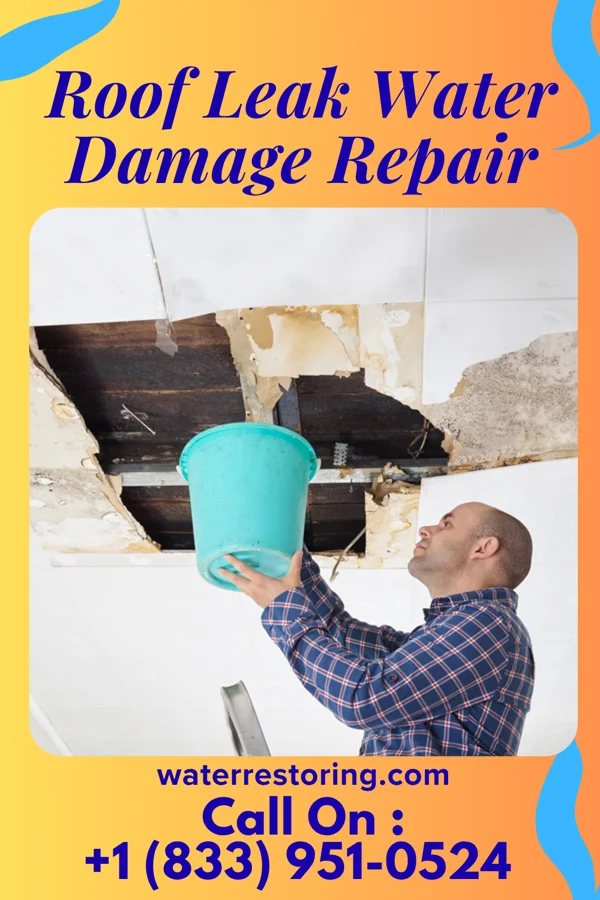 Roof Leak Water Damage Repair in Coalmont, TN