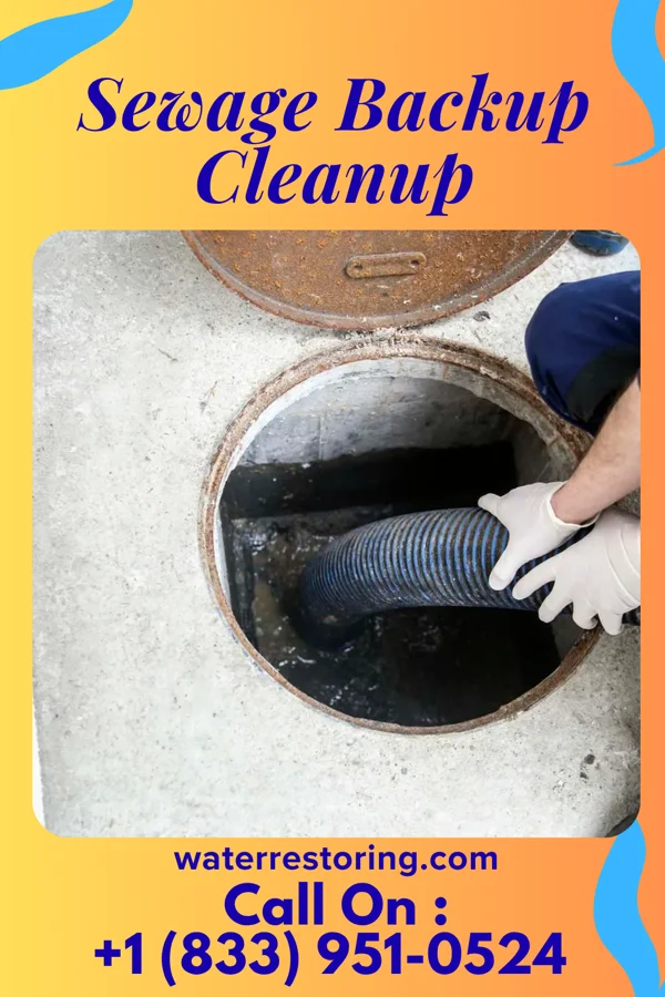 Sewage Backup Cleanup in Coalmont, TN