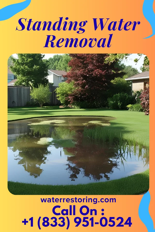 Standing Water Removal in Coalmont, TN